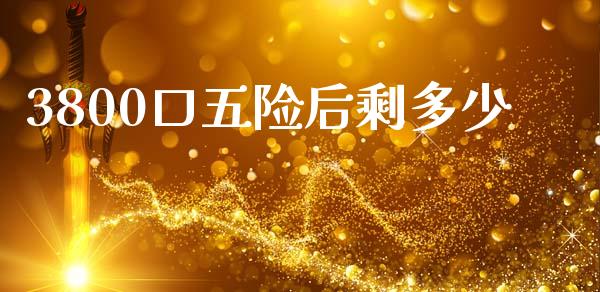 3800口五险后剩多少_https://www.gongyisiwang.com_广发期货手续费_第1张