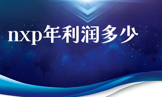 nxp年利润多少_https://www.gongyisiwang.com_广发期货手续费_第1张