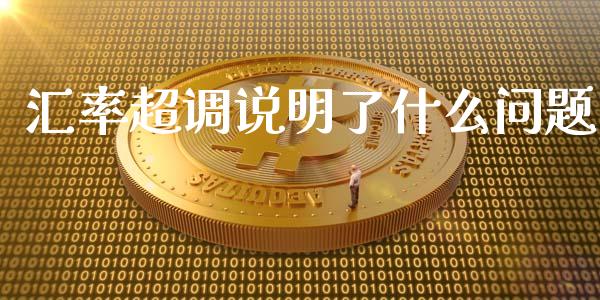 汇率超调说明了什么问题_https://www.gongyisiwang.com_股指期货_第1张