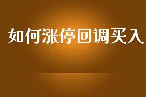如何涨停回调买入_https://www.gongyisiwang.com_广发期货手续费_第1张