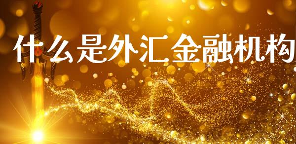 什么是外汇金融机构_https://www.gongyisiwang.com_道指_第1张