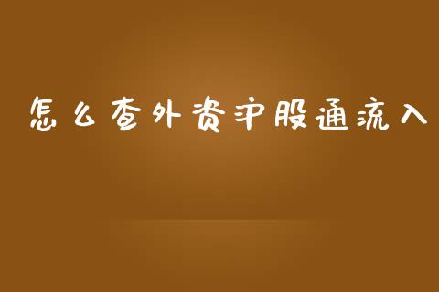 怎么查外资沪股通流入_https://www.gongyisiwang.com_恒指期货_第1张