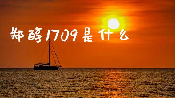 郑醇1709是什么_https://www.gongyisiwang.com_焦炭期货手续费_第1张