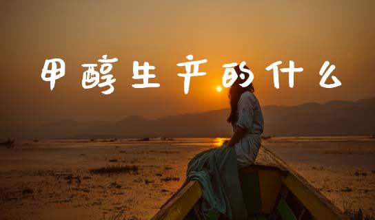 甲醇生产的什么_https://www.gongyisiwang.com_股指期货交易手续费_第1张