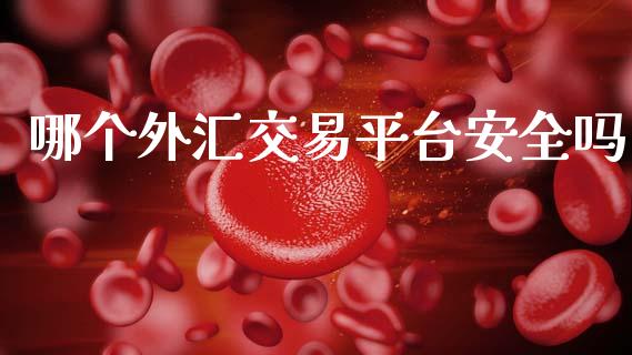 哪个外汇交易平台安全吗_https://www.gongyisiwang.com_股指期货_第1张