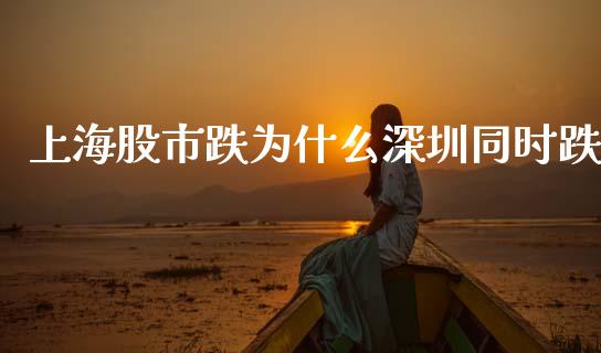 上海股市跌为什么深圳同时跌_https://www.gongyisiwang.com_股指期货交易手续费_第1张