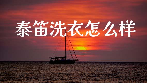泰笛洗衣怎么样_https://www.gongyisiwang.com_期货公司手续费排名_第1张