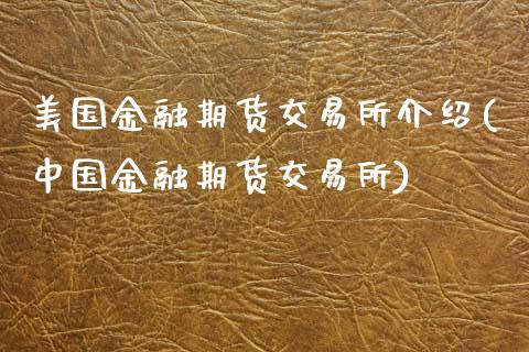 美国金融期货交易所介绍(中国金融期货交易所)_https://www.gongyisiwang.com_焦炭期货手续费_第1张