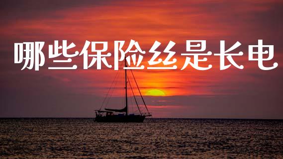 哪些保险丝是长电_https://www.gongyisiwang.com_股指期货_第1张