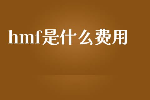 hmf是什么费用_https://www.gongyisiwang.com_股指期货交易手续费_第1张