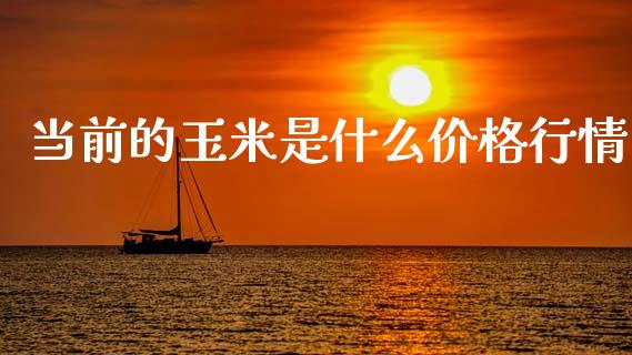 当前的玉米是什么价格行情_https://www.gongyisiwang.com_焦炭期货手续费_第1张