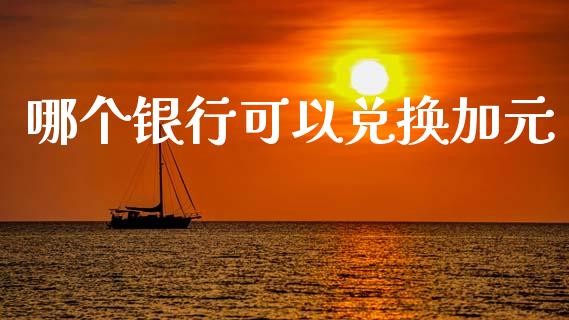哪个银行可以兑换加元_https://www.gongyisiwang.com_原油期货_第1张