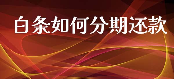 白条如何分期还款_https://www.gongyisiwang.com_原油期货_第1张