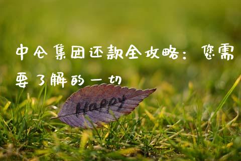 中仑集团还款全攻略：您需要了解的一切_https://www.gongyisiwang.com_股指期货_第1张
