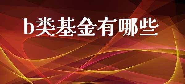 b类基金有哪些_https://www.gongyisiwang.com_股指期货交易手续费_第1张