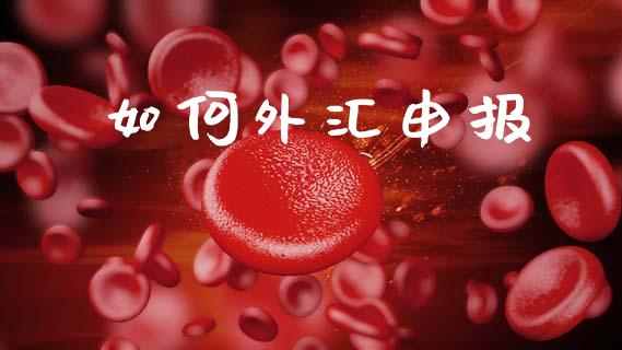 如何外汇申报_https://www.gongyisiwang.com_期货公司手续费排名_第1张