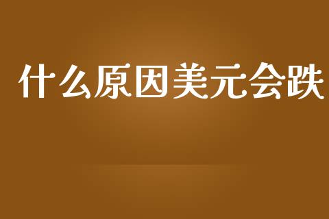 什么原因美元会跌_https://www.gongyisiwang.com_恒指期货_第1张