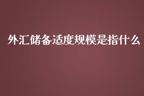 外汇储备适度规模是指什么_https://www.gongyisiwang.com_道指_第1张