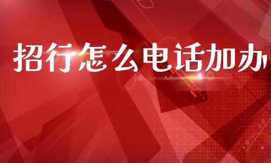 招行怎么电话加办_https://www.gongyisiwang.com_股指期货_第1张