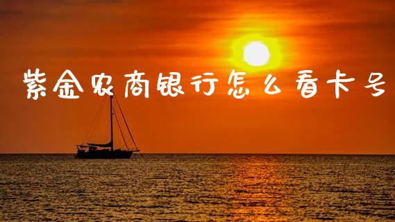 紫金农商银行怎么看卡号_https://www.gongyisiwang.com_股指期货交易手续费_第1张