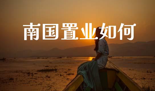 南国置业如何_https://www.gongyisiwang.com_期货公司手续费排名_第1张