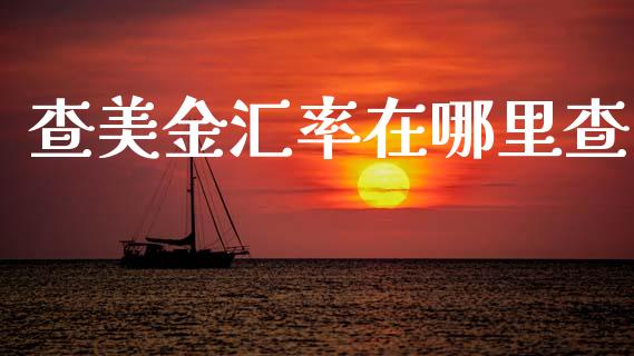 查美金汇率在哪里查_https://www.gongyisiwang.com_广发期货手续费_第1张