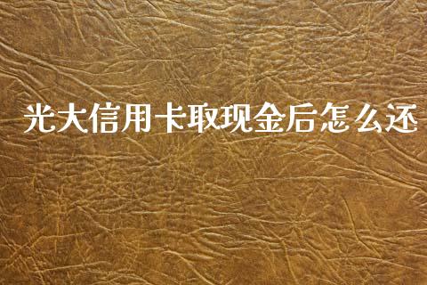 光大信用卡取现金后怎么还_https://www.gongyisiwang.com_道指_第1张
