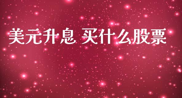 美元升息 买什么股票_https://www.gongyisiwang.com_期货公司手续费排名_第1张