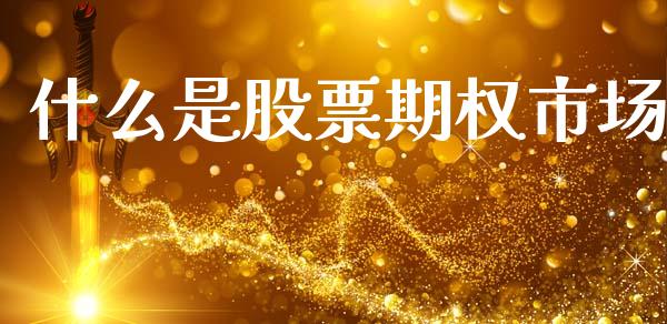什么是股票期权市场_https://www.gongyisiwang.com_焦炭期货手续费_第1张