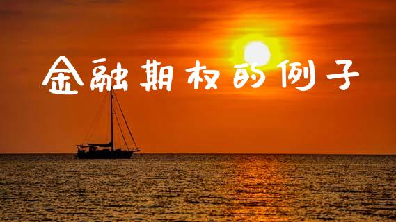 金融期权的例子_https://www.gongyisiwang.com_股指期货_第1张