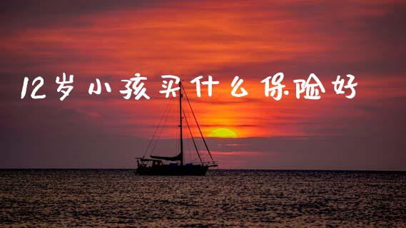 12岁小孩买什么保险好_https://www.gongyisiwang.com_股指期货交易手续费_第1张