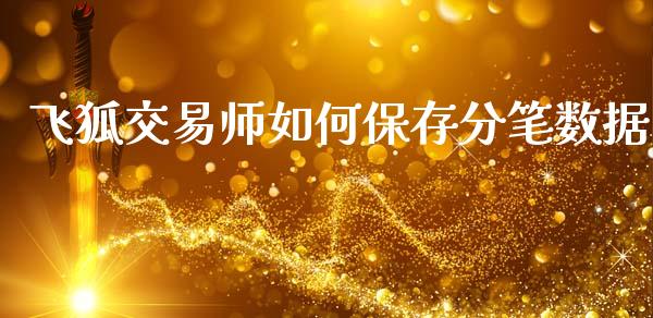 飞狐交易师如何保存分笔数据_https://www.gongyisiwang.com_股指期货_第1张