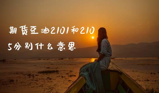 期货豆油2101和2105分别什么意思_https://www.gongyisiwang.com_恒指期货_第1张