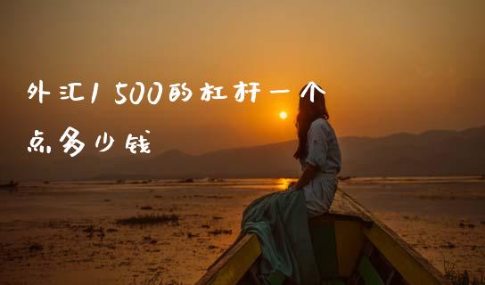 外汇1 500的杠杆一个点多少钱_https://www.gongyisiwang.com_期货公司手续费排名_第1张