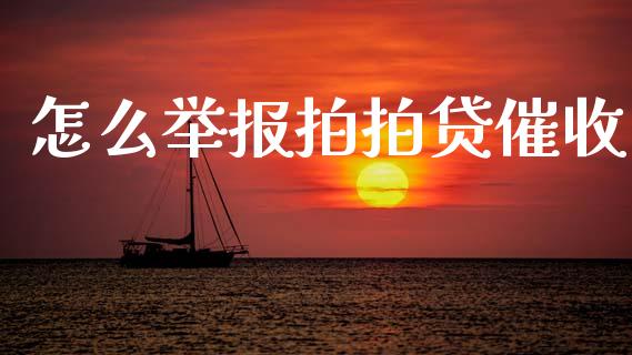怎么举报拍拍贷催收_https://www.gongyisiwang.com_焦炭期货手续费_第1张