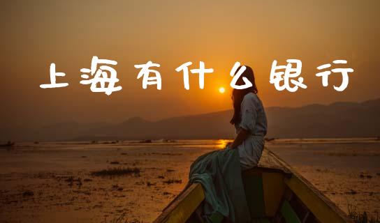 上海有什么银行_https://www.gongyisiwang.com_原油期货_第1张