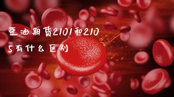 豆油期货2101和2105有什么区别_https://www.gongyisiwang.com_原油期货_第1张