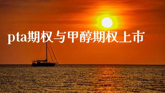pta期权与甲醇期权上市_https://www.gongyisiwang.com_股指期货交易手续费_第1张