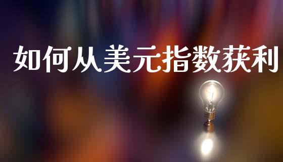 如何从美元指数获利_https://www.gongyisiwang.com_广发期货手续费_第1张
