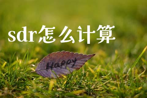 sdr怎么计算_https://www.gongyisiwang.com_焦炭期货手续费_第1张