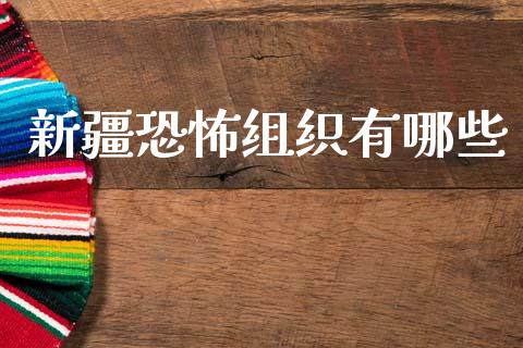 新疆恐怖组织有哪些_https://www.gongyisiwang.com_广发期货手续费_第1张