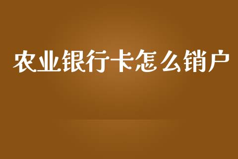 农业银行卡怎么销户_https://www.gongyisiwang.com_焦炭期货手续费_第1张