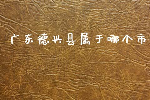 广东德兴县属于哪个市_https://www.gongyisiwang.com_广发期货手续费_第1张