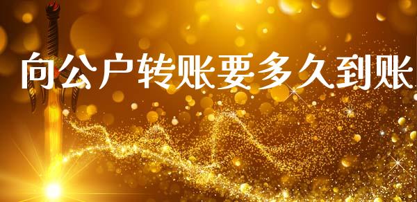 向公户转账要多久到账_https://www.gongyisiwang.com_股指期货交易手续费_第1张