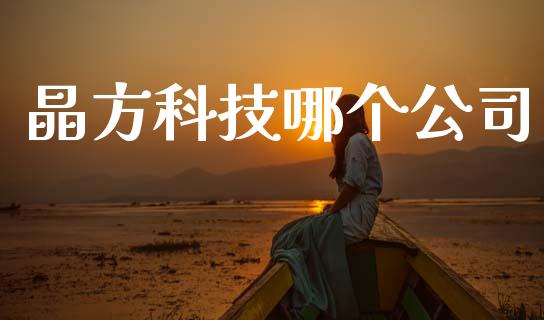 晶方科技哪个公司_https://www.gongyisiwang.com_焦炭期货手续费_第1张