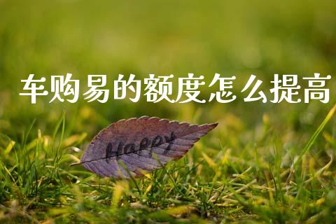 车购易的额度怎么提高_https://www.gongyisiwang.com_期货公司手续费排名_第1张