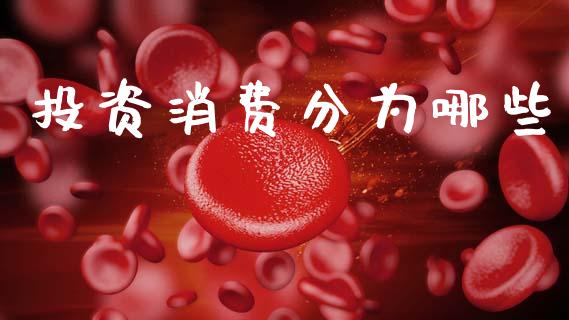 投资消费分为哪些_https://www.gongyisiwang.com_道指_第1张