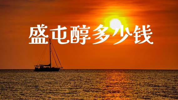 盛屯醇多少钱_https://www.gongyisiwang.com_焦炭期货手续费_第1张