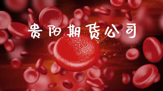 贵阳期货公司_https://www.gongyisiwang.com_股指期货交易手续费_第1张