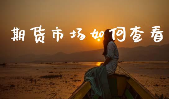 期货市场如何查看_https://www.gongyisiwang.com_广发期货手续费_第1张